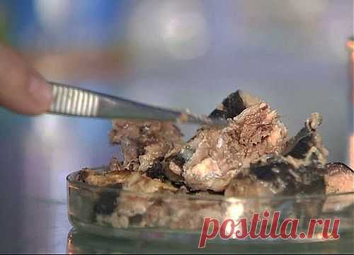 Блюда из консервированной сайры / Простые рецепты