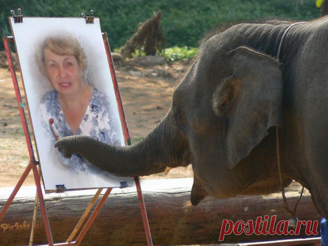 Генераторы фотоэффектов и создания слайда