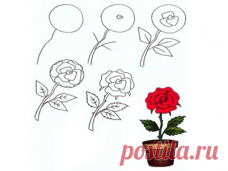 Нарисовать розу - несколько простых способов / Уроки рисования для начинающих карандашом, поэтапный метод / КлуКлу. Рукоделие - бисероплетение, квиллинг, вышивка крестом, вязание