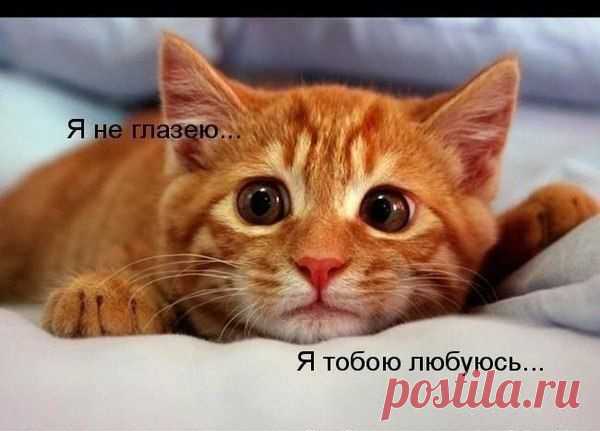 Мой Мир@Mail.Ru