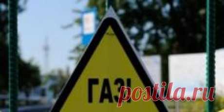 Новогодняя нарезка в виде ЕЛОЧКИ!