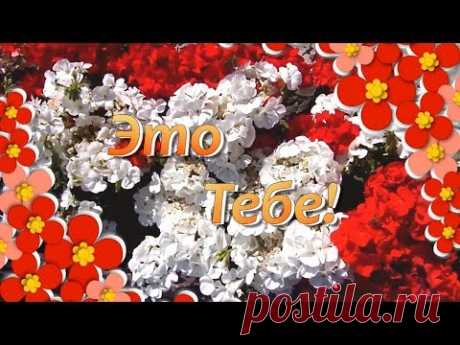 (1) Это Тебе Просто Так Красивые Цветы🌸Цветы для Тебя🌸Красивые Цветы для Друзей - YouTube
