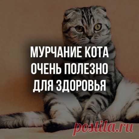 Владимир Викторович Репринцев - Луганск, Луганская обл., Украина, 57 лет на Мой Мир@Mail.ru