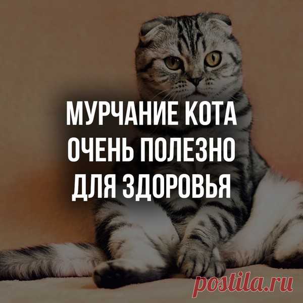 Владимир Викторович Репринцев - Луганск, Луганская обл., Украина, 57 лет на Мой Мир@Mail.ru