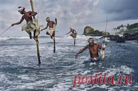 20 захватывающих снимков из жизни мира, в котором ты не бывал. Эти фото лишили меня дара речи!