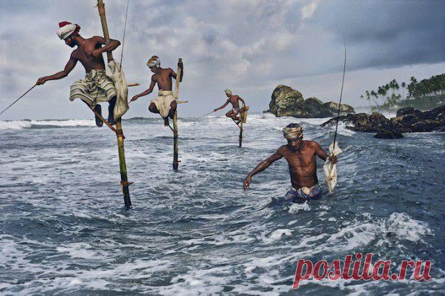 20 захватывающих снимков из жизни мира, в котором ты не бывал. Эти фото лишили меня дара речи!