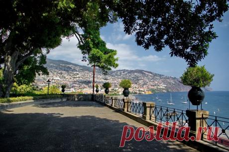 Португальская икра из баклажанов. Такого в России не готовят