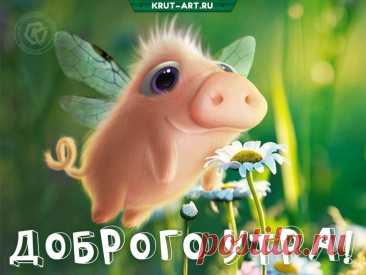 Категории милых открыток с пожеланием доброго утра

    Цветочные открытки

    Нежные букеты утренних цветов

    Романтичные композиции с росой

    Акварельные изображения полевых цветов

    Открытки с садовыми растениями