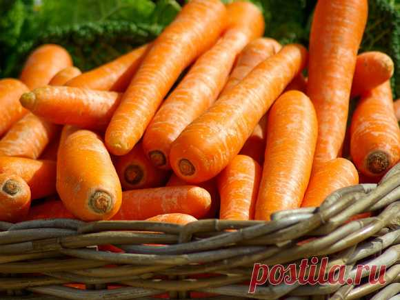 Врачи составили список продуктов, очищающих кровь - Росбалт