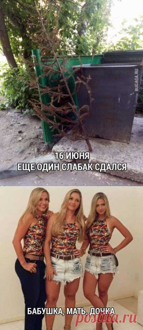Прикольные картинки в ассортименте (40 шт)