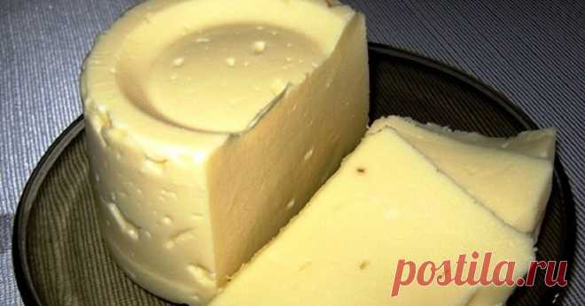 Плавленые сырки больше не покупала ни разу! Невозмутимо готовлю по этому рецепту дома. Попробуй — за уши не оттянешь!