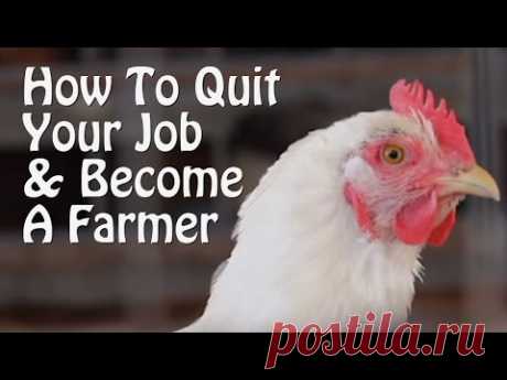 Quit Your Job and Farm - PART 1 - 10 Small Farm Ideas, from Organic Farming to Chickens & Goats.