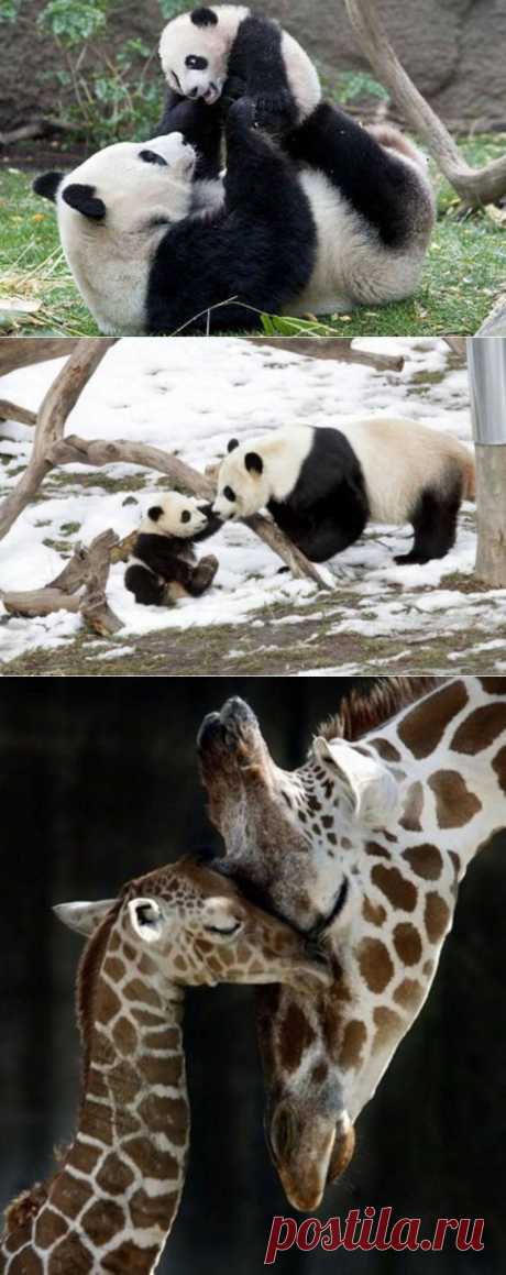 По-другому, мы не можем...мы на маму так похожи..