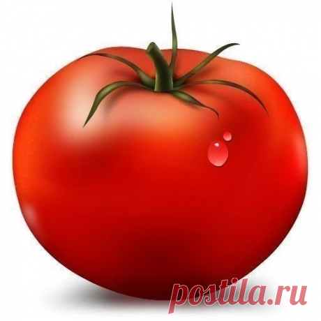 Клипарт "Овощи"
