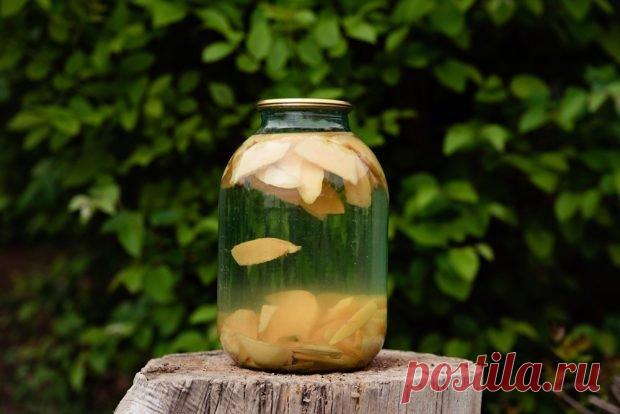 Компот на зиму из айвы — Домашние заботы