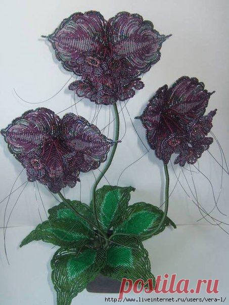 Без заголовка