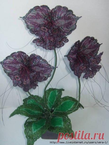 Без заголовка