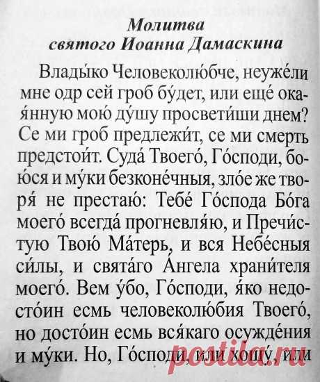 24 знаменитых коротких молитвы святителя Иоанна Златоуста по числу часов в сутках. Почему они так важны и как правильно их читать? | Господи, помоги! Православие | Дзен