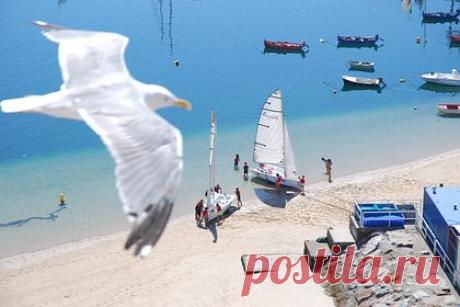 В США заинтересовались разработкой новой стратегии для региона Черного моря. Вашингтон заинтересован в разработке но стратегии для региона Черного моря. Об этом заявила посол США в Бухаресте Кэтлин Кавалек в беседе с телеканалом Digi 24. «Черноморский регион всегда был важен, но война сделала его еще более важным и подчеркнула необходимость сотрудничества в регионе», — пояснила дипломат.