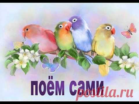 Смотреть "Читаем по слогам Ел,Ам, Ах, Ок.wmv" или