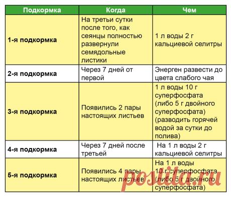График подкормок томатной рассады по фазам роста (таблица)