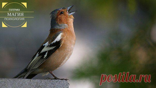 Есть рассказ об одном религиозном учителе, который каждое утро беседовал со своими учениками.