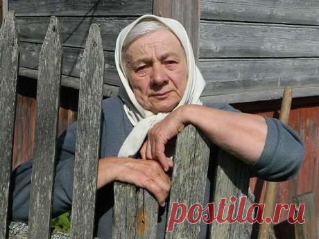 (3) Одноклассники