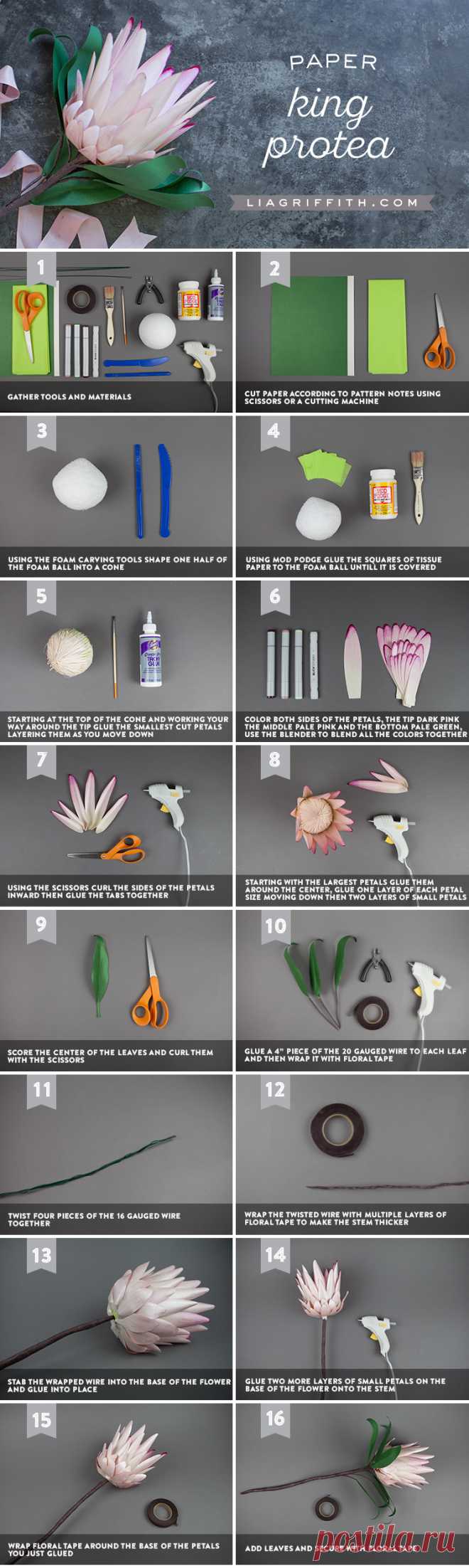 Paper Protea Flower - Lia Griffith