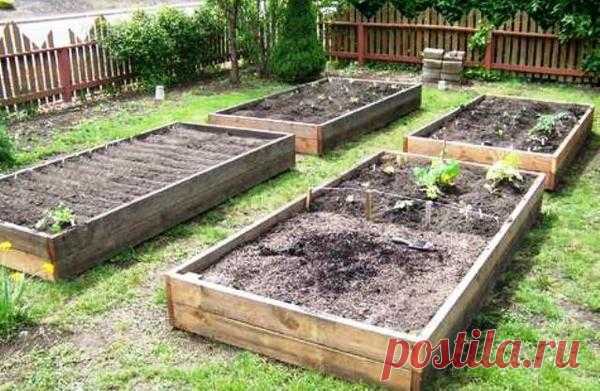 Грядка-короб или грядка-траншея?