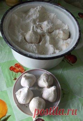 Хранение озимого чеснока до весны
Всем доброго здоровья.
Хочу поделиться своим опытом по хранению озимого
чеснока. Что только не перепробовала, то высохнет, то гнить начинает.
Однажды перебирала старинные рецепты из журналов « Крестьянка» и
« Работница» и прочитала рецепты наших бабушек.
Вот этим рецептом по хранению чеснока хочу с вами поделиться. Оказывается всё гениальное просто.
Когда выбираем чеснок из земли, подвешиваю его на даче для просушки, обрезаю и листья и корни. Затем беру эмалиро