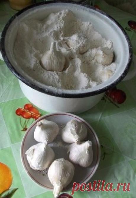 Хранение озимого чеснока до весны
Всем доброго здоровья.
Хочу поделиться своим опытом по хранению озимого
чеснока. Что только не перепробовала, то высохнет, то гнить начинает.
Однажды перебирала старинные рецепты из журналов « Крестьянка» и
« Работница» и прочитала рецепты наших бабушек.
Вот этим рецептом по хранению чеснока хочу с вами поделиться. Оказывается всё гениальное просто.
Когда выбираем чеснок из земли, подвешиваю его на даче для просушки, обрезаю и листья и корни. Затем беру эмалиро