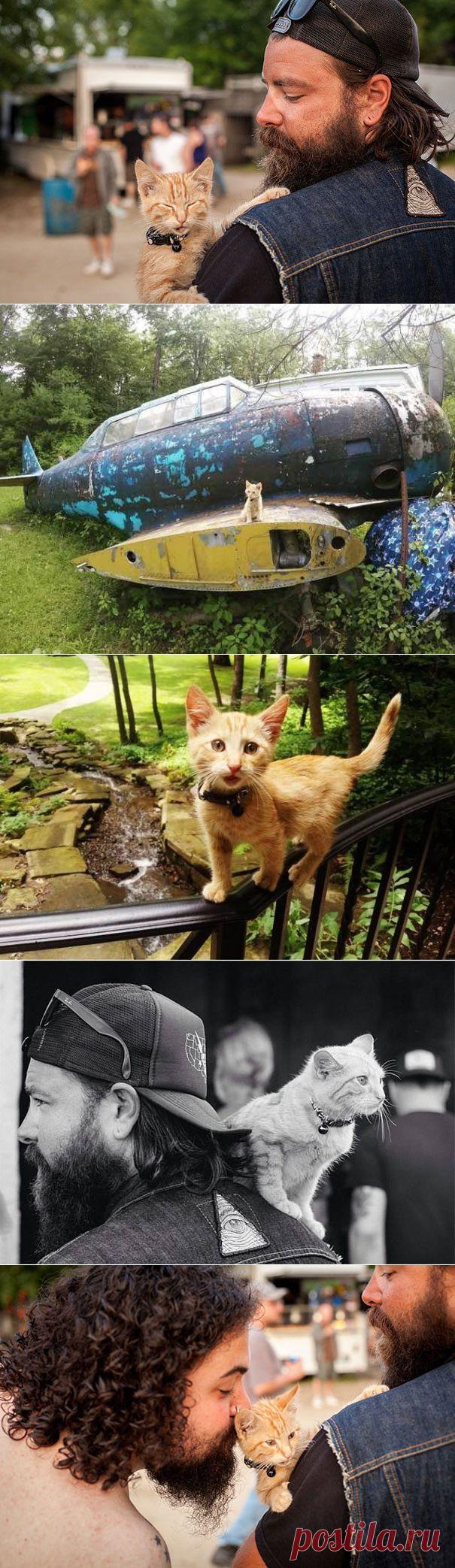 Байкер спас обожженного котенка и теперь путешествует с ним по стране