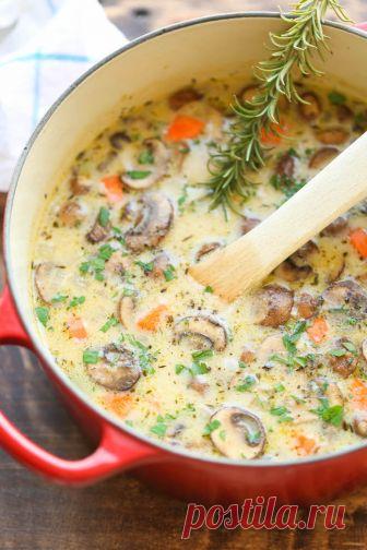 Creamy Chicken and Mushroom Soup - Damn Delicious Creamy Chicken and Mushroom Soup - So cozy, so comforting and just so creamy. Best of all, this is made in 30 min from start to finish - so quick and easy!