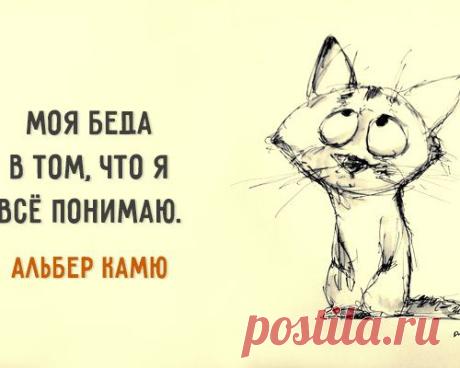 20 цитат «Совести Запада» – Альбера Камю