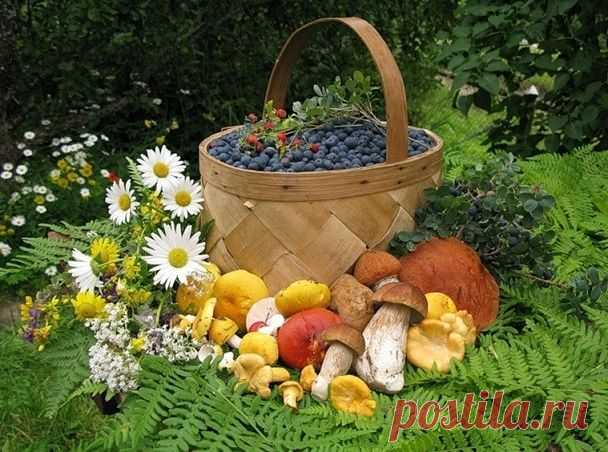 ФИЛОСОФИЯ, НАУКА и МИСТИКА В Кругу Друзей — социальная сеть