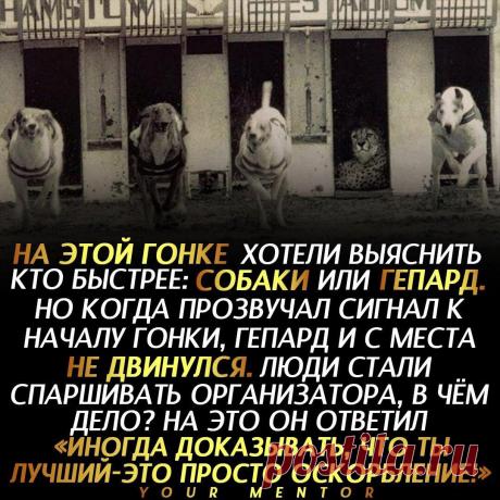 Не унижай себя
Мораль сей басни такова: не стоит доказывать людям, которые явно хуже вас, что вы лучше их . . . Не забудь подписаться ✅ Отправь другу, который должен это прочитать💬 #эксперимент #гепард #собака #тылучший #мотивация #мотиватор
Читай дальше на сайте. Жми подробнее ➡