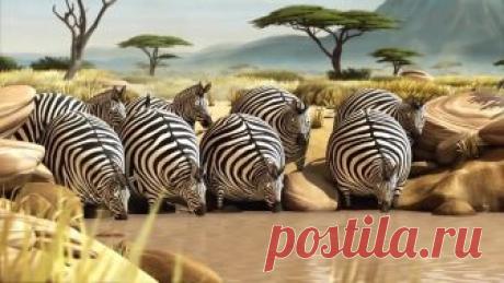 Необычные хитрости для похудения | Делимся советами