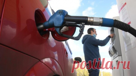 Все виды топлива подорожали во вторник на российской бирже