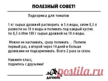 СОВЕТЫ ОГОРОДНИКАМ!