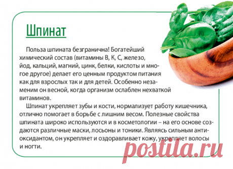 Шпинат - полезные свойства