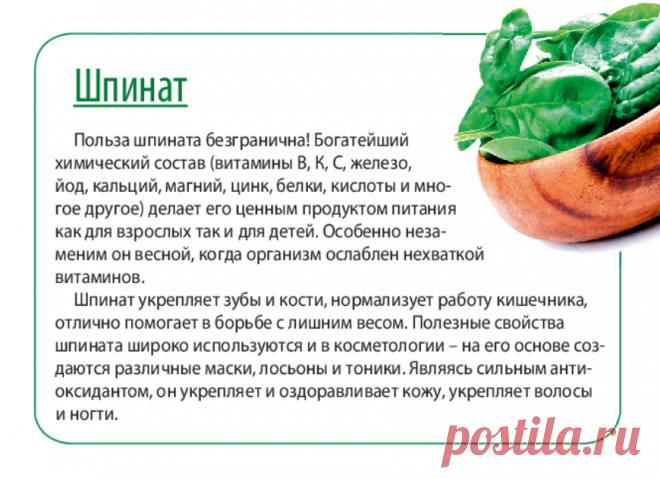 Шпинат - полезные свойства