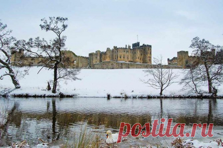 В графстве Нортумберленд (север Англии) расположена главная резиденция герцога Нортумберленда — замок Алник.