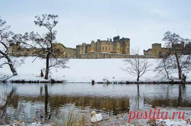В графстве Нортумберленд (север Англии) расположена главная резиденция герцога Нортумберленда — замок Алник.