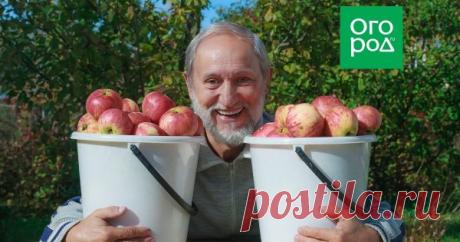 10 лучших советов, которые мы получили от читателей в августе Лето подошло к концу, а вашим знаниям конца-края не видно! Это и неудивительно – завершение сезона всегда чему-то учит, и его уроками хочется поделиться с коллегами по счастью – огородниками и садоводами.