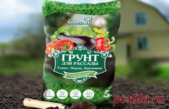 Дачные идеи — Ежедневник настоящего дачника