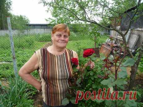 Зоя Винокурова
77 лет, Россия, Лихославль