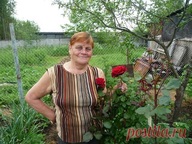 Зоя Винокурова
77 лет, Россия, Лихославль