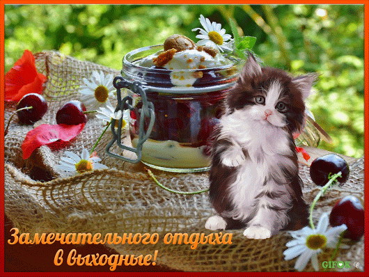 ЖИВЫЕ ФОТОГРАФИИ. AMAZING GIF – Google+