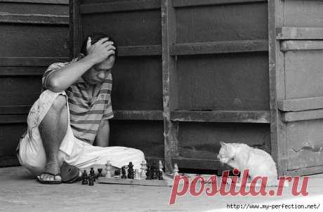 60 советов для улучшения работы мозга.