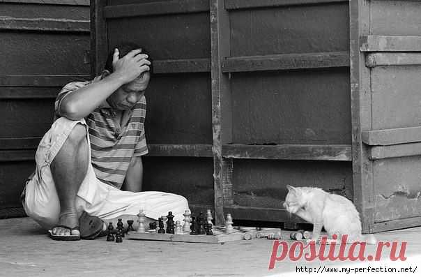 60 советов для улучшения работы мозга.